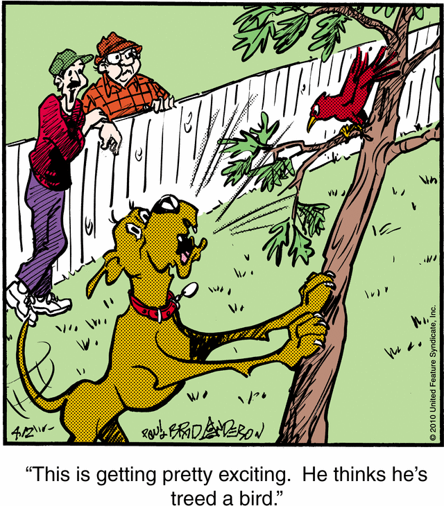 marmaduke